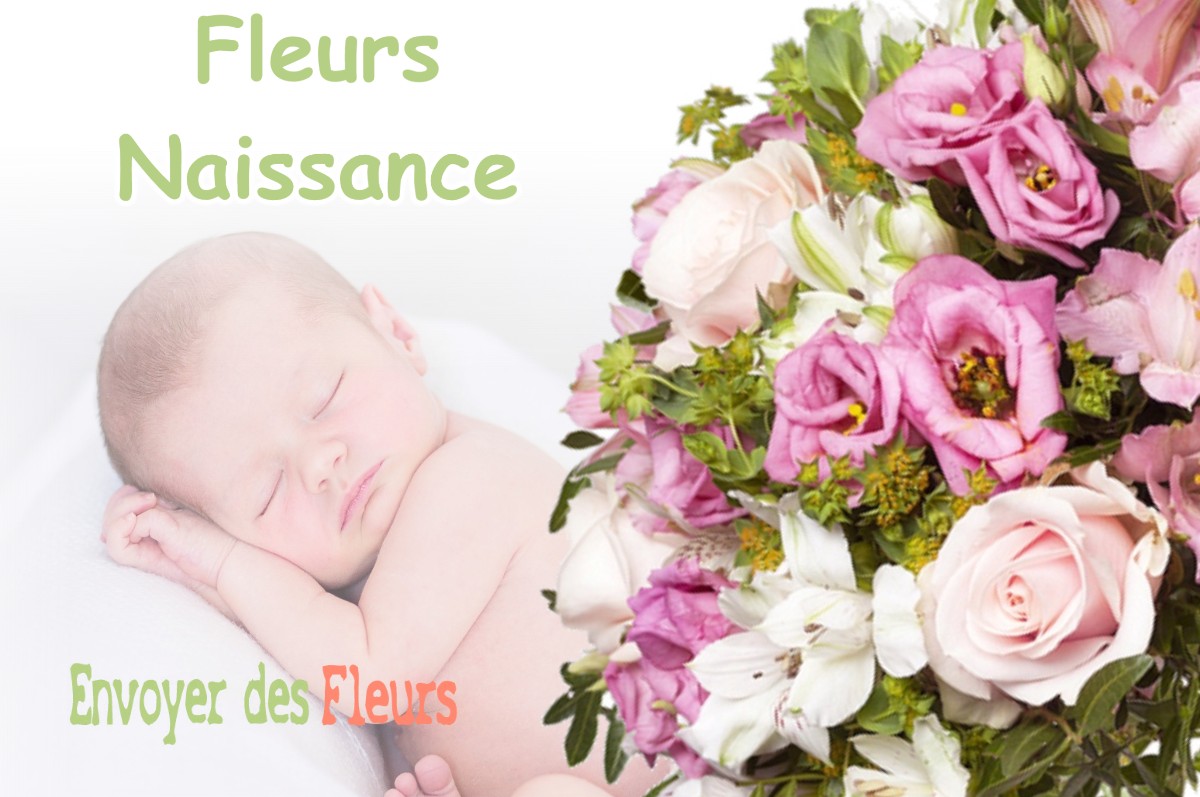 lIVRAISON FLEURS NAISSANCE à SAJAS